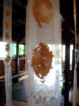 DSC05526.jpg