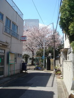 DSC07559.JPG