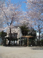 DSC07561.JPG