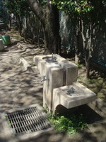 DSC07564.JPG