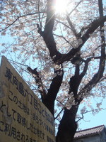 DSC07565.JPG